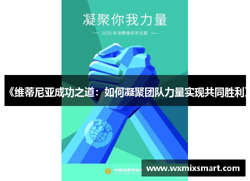 《维蒂尼亚成功之道：如何凝聚团队力量实现共同胜利》